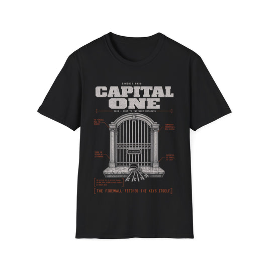 EXHIBIT 0029 — CAPITAL ONE